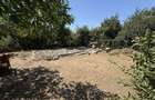 Vand teren 300 mp ,Oras Ovidiu ,Jud.Constanta - 7