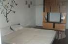 Proprietar inchiriez garsoniera 49 m patrati - 4