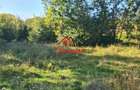 Teren intravilan in Cornu (Ph)--1490 mp--29e - 13