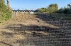 Teren de vanzare Ionel Teodoreanu 7, Elvila/Palazu Mare - Constanta - 1