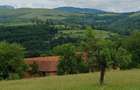 Teren de 60000 mp, în Cornea - 4