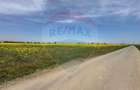 Teren 545,000mp Dragomiresti-Vale - 6