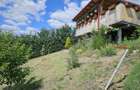 Casa noua Podgoria, 1035 mp teren - 9