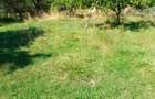 Vand teren intravilan, Domnesti, Arges