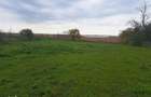 Teren intravilan 3615mp-Salcioara, jud Tulcea- deschidere la balta/lac - 4