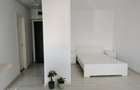 Apartament 1 camera open space si dependinte, 47mp, loc de parcare - 3