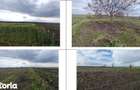 Teren cota parte 3/16, Sipote, ID: R3070063 - 11