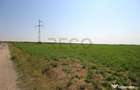 RECO, teren extravilan, Zona Sinteu, Bihor - 8