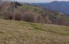 Vand teren( ideal pentru cabana sau casa de vacanta ) - 4