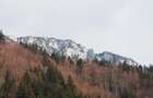 Teren 2000 mp Saticu de Sus Deschidere Raul Dambovi?a & Drum Forestier (Valea lui Ivan)