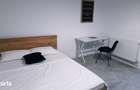 Apartament cu 1 camera de inchiriat Mazepa Rosiori - 6