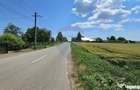 Teren 15,000mp Salcea-Prelipca, Suceava - Prelipca (Suceava) - 12