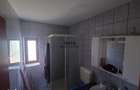 Casa cu gradina si foisor in Brazii Arad - 8