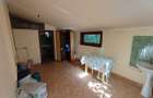 Vila din Gradina Racoti / Conac 5 camere / 6000m2 - 1