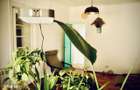 PROPRIETAR: Apartament 3-4 camere Cotroceni (Lister) Renovare 2025 - 20