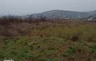 Teren intravilan Tomesti , 11000 metri Cod:161403 - 3