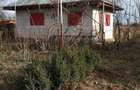Casa de vanzare in judetul Ialomita - 1