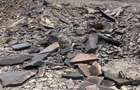 Cariera de piatra bazaltica,5 ha,cu permis de exploatare - ANRM - 1