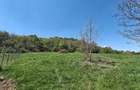 Teren intravilan 1400 m2 - Curteni, Santana de Mure?