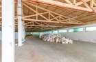 Ferma moderna de porci de vanzare in Curtuiusu Dejului