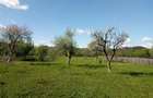 Teren intravilan la munte, in Nereju, Vrancea - 2