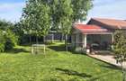 Casa de vanzare Parcul Natural Comana la 30 km Bucuresti , Jud Giurgiu - 8
