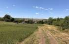 Teren 2.900 mp - 900 mp intravilan Jucu de Sus Panorama Investitie - 5