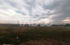 Teren intravilan de vanzare 3421 mp cu deschidere de 180 m Turnisor