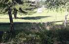 Teren 22.500 mp Saru Dornei - Neagra Sarului, intrav+extrav, intre case, acces f ok, 100 mii euro - 1