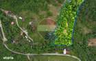 Teren intravilan, 6700 mp, Curent, Zona populata, Apuseni, zona Boga