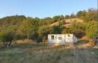 casa si teren 4000mp (mosie livada) Julita, Varadia de Mures, Lipova - 6