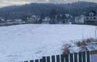 Teren Frasin 6000 m2 - 5