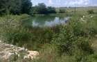 Vanzare Cabana + teren aferent 8HA - 1