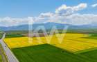 Teren 10.600 mp în Codlea – ideal pentru investiție industrială - 5