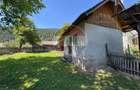 De vanzare | Teren 5412mp , Scoala Sabasa | Borca | Neamt - 9