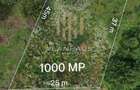 Teren intravilan Ardusat, 1000 mp, acces din drum asfaltat - 2
