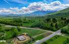 Teren 646mp intre Bran si Zarnesti (Tohanita,) intravilan - 20