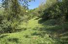 Teren intravilan 4.128 mp Ocolis Alba priveliste superba curent la proprietate - 1
