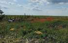 Gradina 355 mp Poiana basmelor - 4