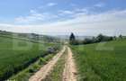 Teren generos 15.900 mp (intravilan + extravilan) in Sancraiu de Mures - 3