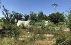 Proprietar vand teren -Teleorman-Radoiesti/Cetate-Comision 0! - 4