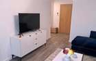 Herastrau 2 Camere Terasa Parcare Mobilat Modern - 5