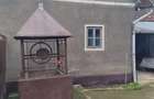 Casa cu teren generos de vanzare in Buteni, jud. Arad, fantana in curte, anexe, colne - 2