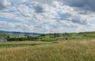 Teren intravilan ideal pentru casa, 4300mp, Deusu -Chinteni - 3