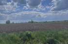 Teren extravilan, 7800mp, Burla