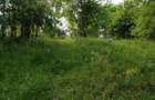 Teren 8500mp langa Calimanesti