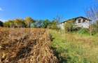 Teren intravilan de 18927 mp, Hala P+1 250 mp, Ocna Mures - 3