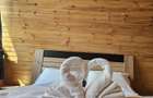 Casă cu 3 camere în Tărlungeni - 5