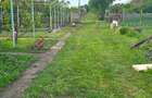Casa la tara cu teren, livada si solar profesional - 13