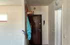 Proprietar vand apartament cu o camera, 43 mp ANL Miloia - 8